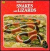 Snakes & Snakes (A Golden Junior Guide) - George S. Fichter