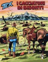 Tex n. 522: I cacciatori di bisonti - Claudio Nizzi, Giovanni Ticci, Claudio Villa