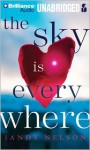 The Sky Is Everywhere - Jandy Nelson, Julia Whelan