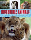 Incredible Animals - Sally Morgan