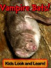 Vampire Bats! Learn About Vampire Bats and Enjoy Colorful Pictures - Look and Learn! - Becky Wolff