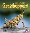 Grasshoppers - Robin Nelson