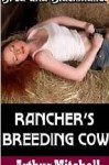 Rancher's Breeding Cow (Bred and Blackmailed) - Arthur Mitchell