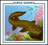 Nurse Sharks - Sarah Palmer, Libby Turner, Ernest Nicol