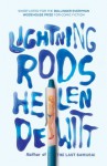 Lightning Rods - Helen DeWitt, David Flusfeder