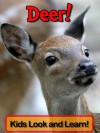 Deer! Learn About Deer and Enjoy Colorful Pictures - Look and Learn! (50+ Photos of Deer) - Becky Wolff