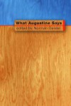 What Augustine Says - Norman L. Geisler