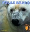 Polar Bears - Diana Star Helmer