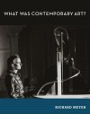 What Was Contemporary Art? - Richard Meyer