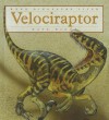 Velociraptor - Kate Riggs