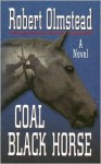 Coal Black Horse - Robert Olmstead