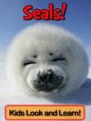 Seals! Learn About Seals and Enjoy Colorful Pictures - Look and Learn! (50+ Photos of Seals) - Becky Wolff