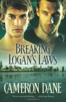 Breaking Logan's Laws (Quinn Security) - Cameron Dane