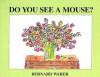 Do You See a Mouse? - Bernard Waber