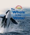 The Whale in the Water - Dana Meachen Rau, Nanci R. Vargus