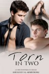 Torn in Two - G.S. Wiley, Kelly Rand, Lee Cairney