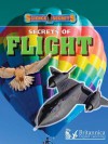 Secrets of Flight - Andrew Solway