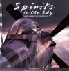 Spirits in the Sky: Classic Aircraft of World War II - Martin W. Bowman, Patrick Bunce