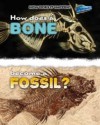 How Does a Bone Become a Fossil?. Melissa Stewart - James Stewart, Melissa Stewart