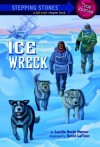 Ice Wreck (A Stepping Stone Book(TM)) - Lucille Recht Penner, David LaFleur