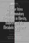 Oxidative Stress and Inflammatory Mechanisms in Obesity, Diabetes, and the Metabolic Syndrome - Lester Packer