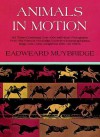 Animals in Motion - Eadweard Muybridge