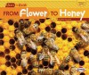 From Flower to Honey - Robin Nelson