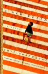 A New World: A Novel - Amit Chaudhuri