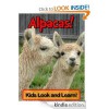 Alpacas! Learn About Alpacas and Enjoy Colorful Pictures - Look and Learn! (50+ Photos of Alpacas) - Becky Wolff