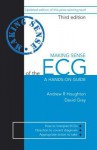 Making Sense of the ECG: A Hands-On Guide - Andrew Houghton, David Gray