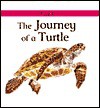 The Journey of a Turtle - Carolyn Scarce, David Salariya