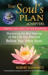 Your Soul's Plan eChapters - Chapter 5: Drug Addiction and Alcoholism: Discovering the Real Meaning of the Life You Planned Before You Were Born - Robert Schwartz