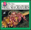 Small Sea Creatures - Jason Cooper