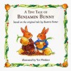 A Tiny Tale of Benjamin Bunny (Board Books) - Beatrix Potter