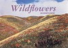 Wildflowers: 30 Postcards - Abbeville Press