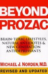 Beyond Prozac: Antidotes for Modern Times - Michael J. Norden