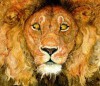 The Lion & the Mouse - Jerry Pinkney