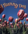 A Sunny Day - Robin Nelson