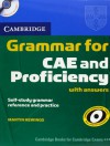 Cambridge Grammar for CAE and Proficiency with Answers: Self-Study Grammar Reference and Practice [With 2 CDs] - Martin Hewings