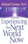 Experiencing the Next World Now - Michael Grosso