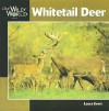 Whitetail Deer - Laura Evert, John F. McGee