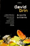 Arrecife Brillante - David Brin