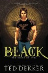 Black: The Birth of Evil (The Circle Trilogy Graphic Novels, Book 1) - Matt Hansen, Ted Dekker, Bob Strachan