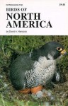 Birds of North America - David Hancock