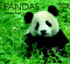 Pandas - Heather Angel