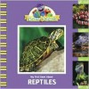 My First Book about Reptiles - Kama Einhorn