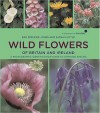 Wild Flowers Of Britain And Ireland: A Photographic Identification Guide To Over 600 Species - Rae Spencer-Jones, Sarah Cuttle