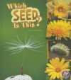 Which Seed Is This? - Lisa J. Amstutz