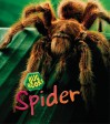 Spider - Karen Hartley, Chris Macro, Philip Taylor