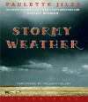 Stormy Weather (Audio) - Paulette Jiles, Colleen Delany